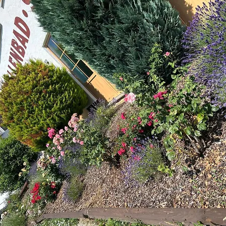 Apartament Little - Kleine Wohlfuehloase